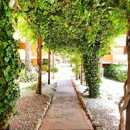 La Entrada Beach Club Torrevieja Esterno foto