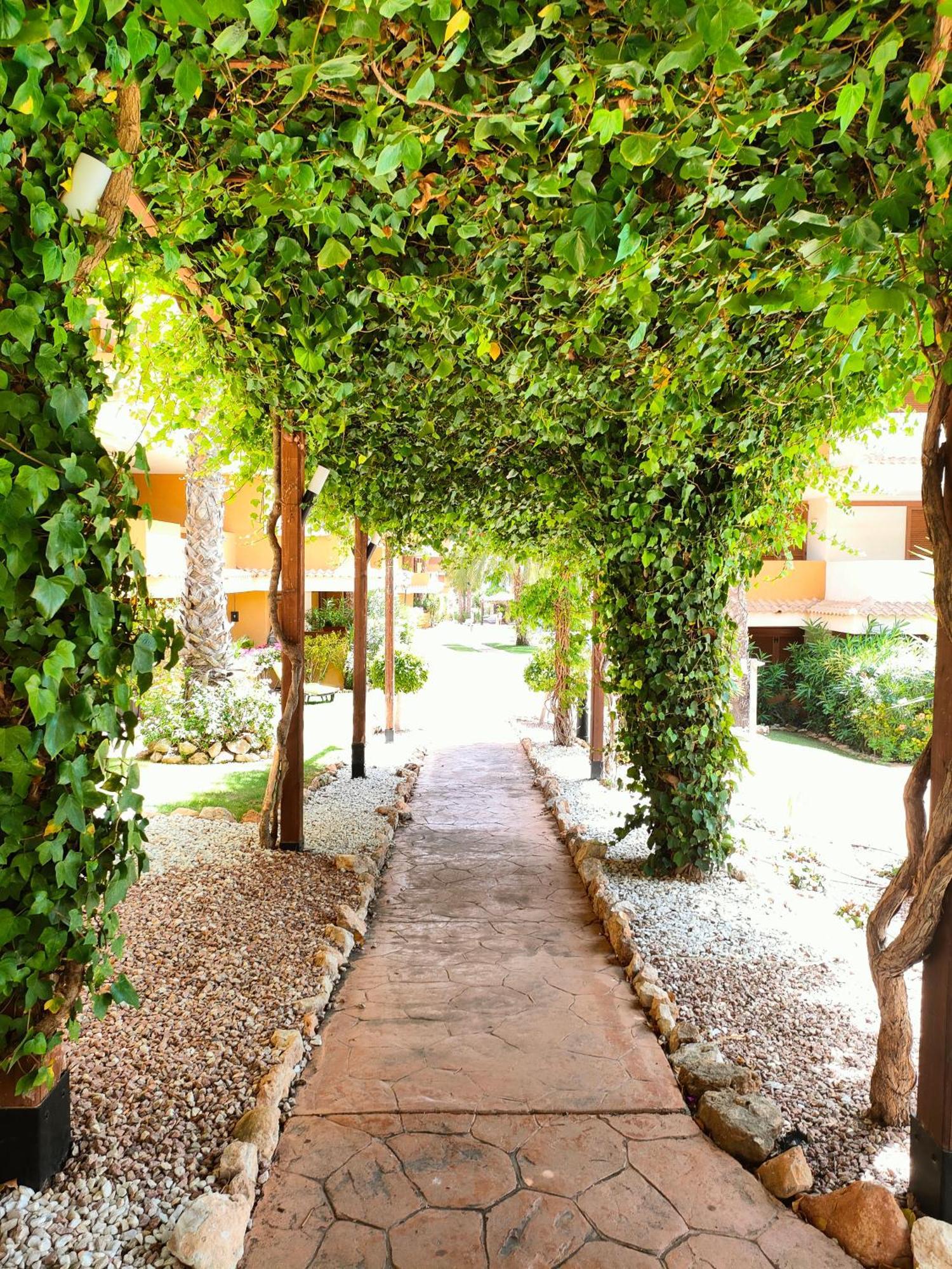 La Entrada Beach Club Torrevieja Esterno foto